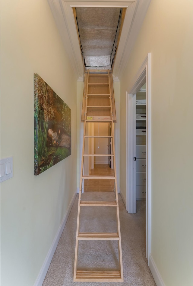 stairway featuring carpet flooring and baseboards