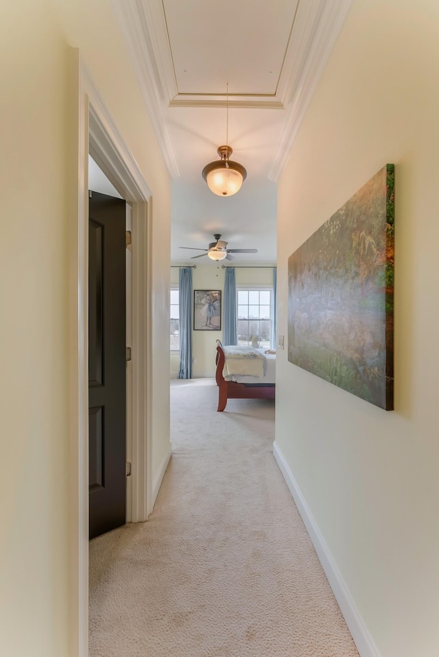 corridor with crown molding, a raised ceiling, attic access, light carpet, and baseboards