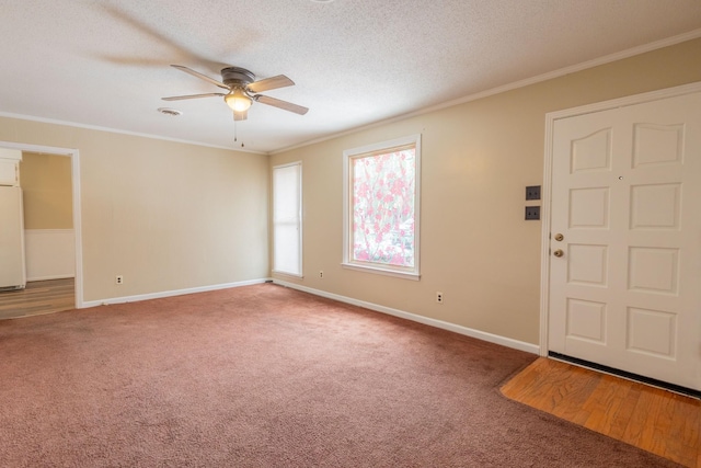 interior space with ornamental molding, baseboards, carpet floors, and a textured ceiling