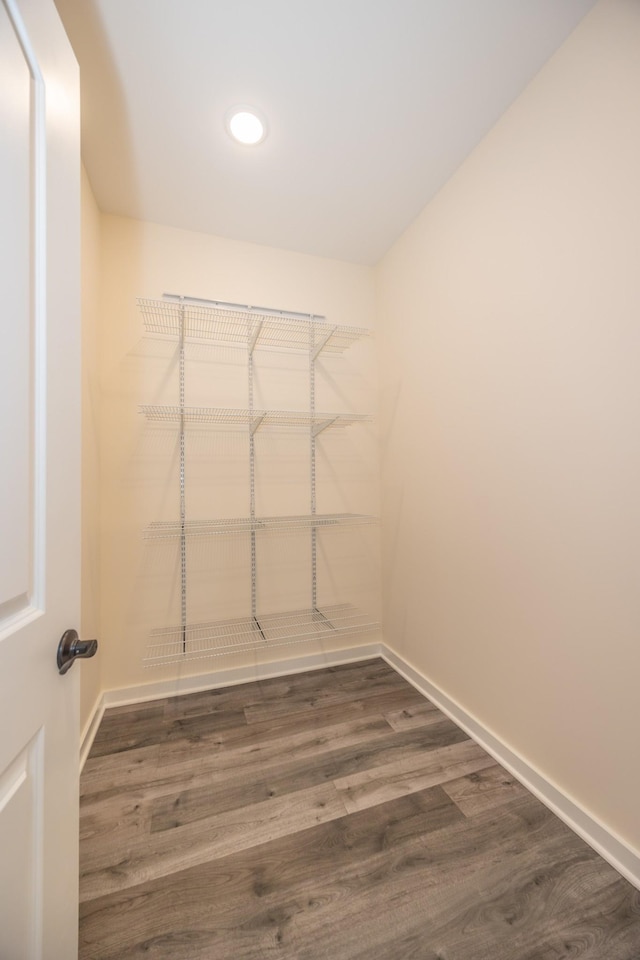 walk in closet with dark wood finished floors