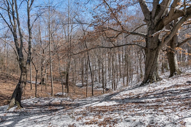 view of snow covered land