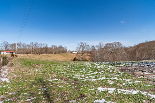 view of yard featuring a rural view