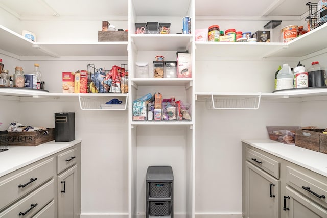 view of pantry