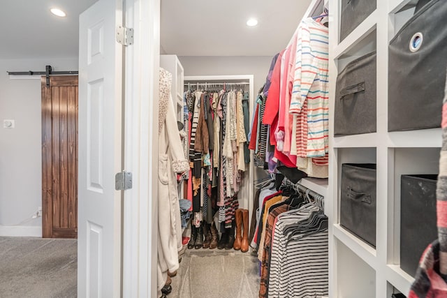 spacious closet featuring carpet floors and a barn door