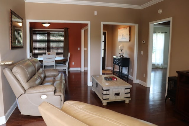 living area featuring dark wood-style flooring, crown molding, and baseboards