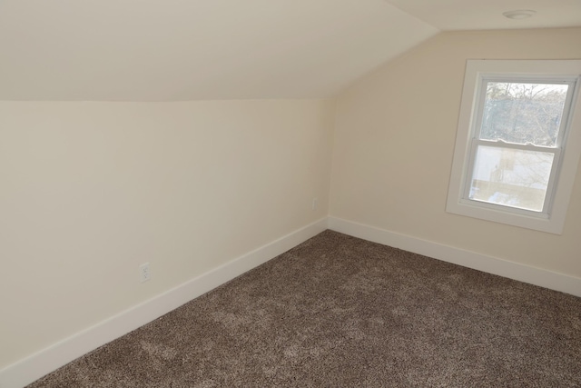 additional living space with lofted ceiling, carpet, and baseboards