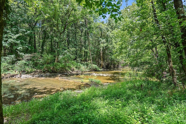 view of local wilderness with a wooded view