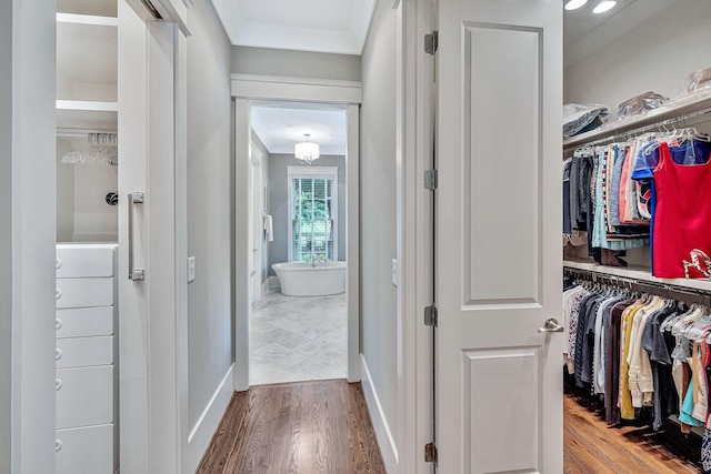 spacious closet with wood finished floors