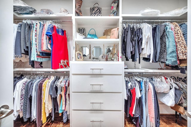 view of walk in closet