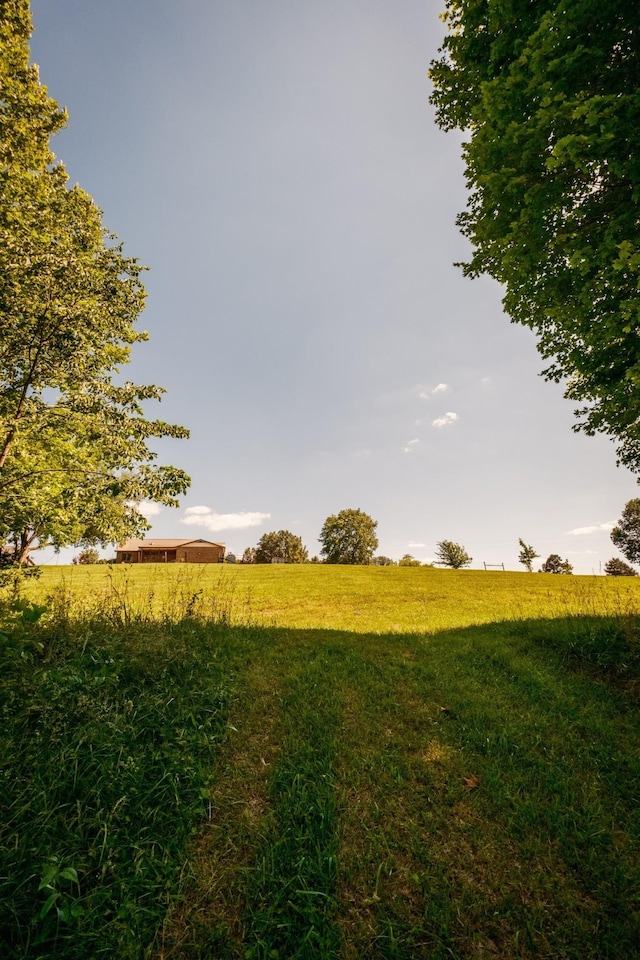 view of local wilderness with a rural view