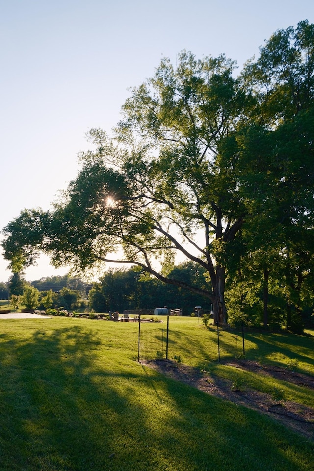 view of community featuring a yard