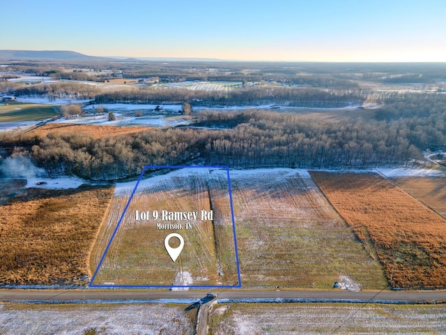 drone / aerial view featuring a rural view