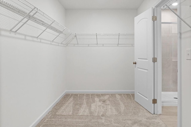 spacious closet with carpet floors