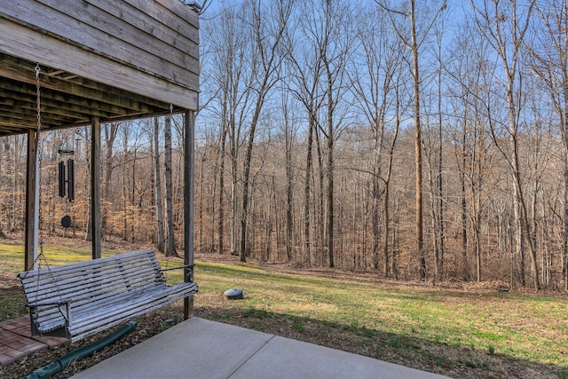 view of yard featuring a patio area