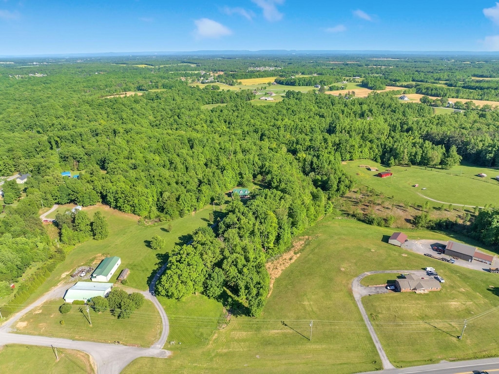 bird's eye view with a forest view