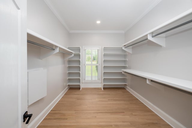 walk in closet featuring light wood finished floors