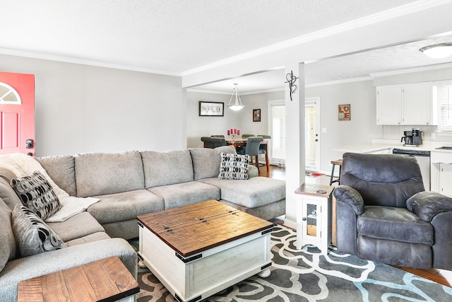 living room with plenty of natural light, a textured ceiling, and crown molding