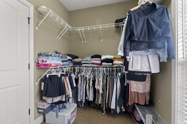 walk in closet featuring carpet