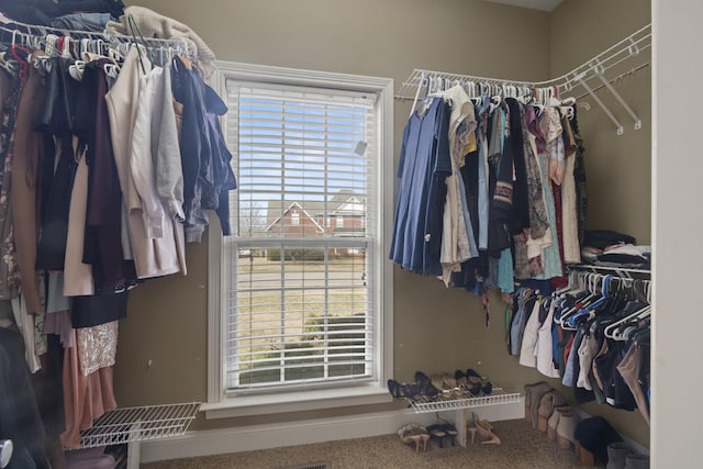 view of spacious closet