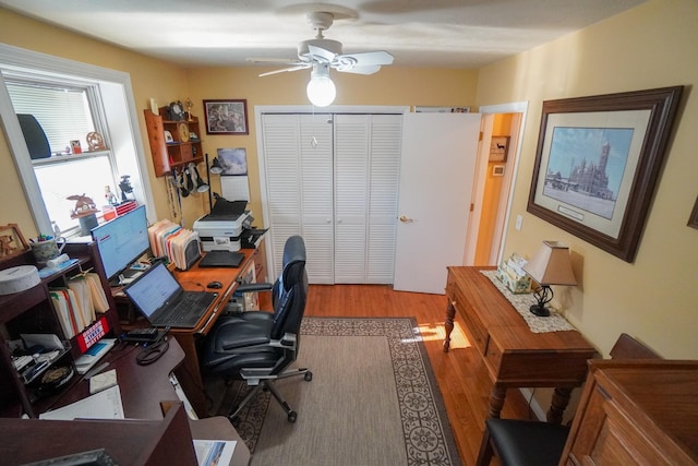 office featuring ceiling fan and wood finished floors