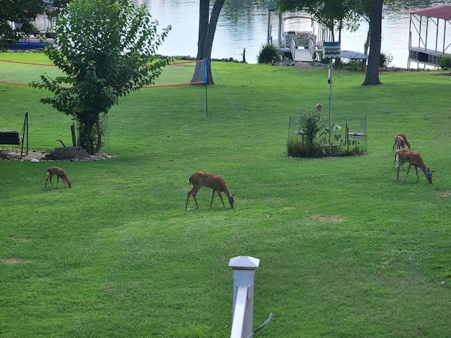 view of home's community with a water view and a lawn