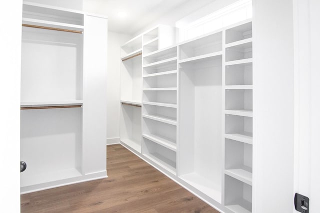 walk in closet featuring dark wood-style floors