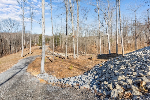 view of yard with aphalt driveway and a view of trees