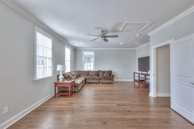 living room featuring attic access, baseboards, a ceiling fan, crown molding, and light wood-style floors