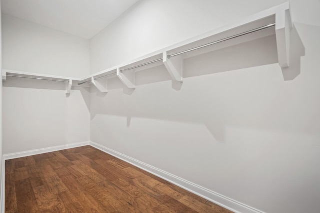 spacious closet featuring wood finished floors