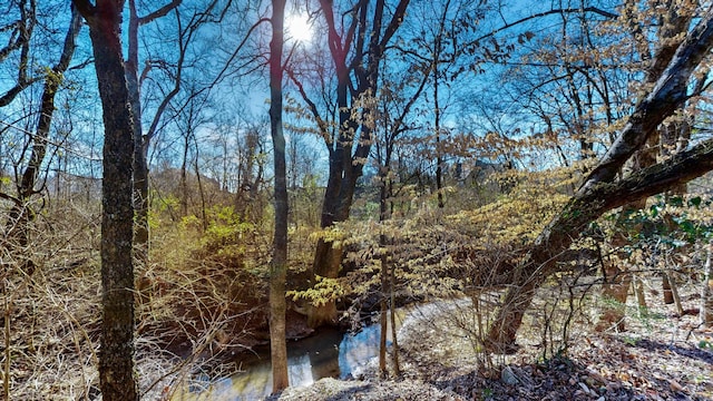 view of water feature with a wooded view