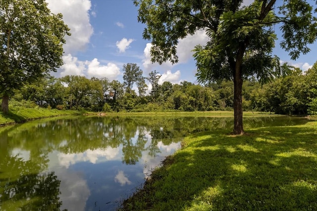 839 Ewell Farm Dr, Spring Hill, TN 37174 - photo 57
