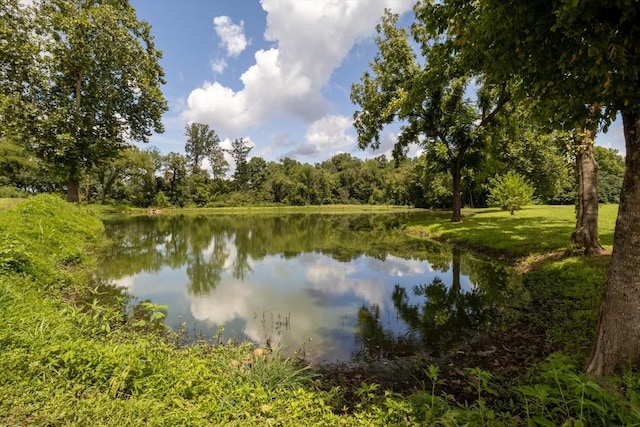 839 Ewell Farm Dr, Spring Hill, TN 37174 - photo 55