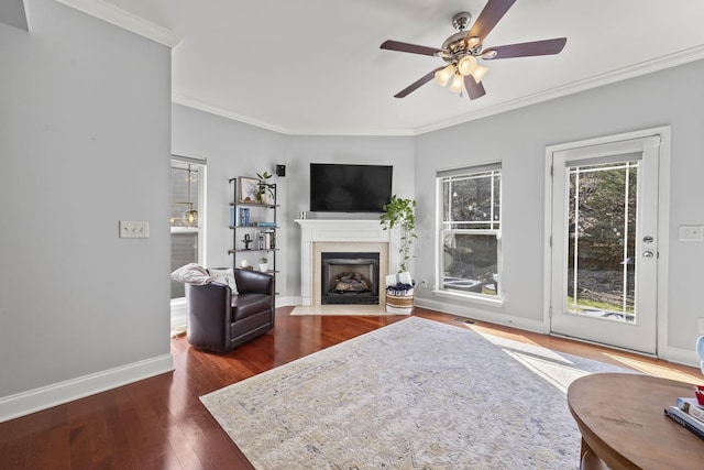 living room featuring crown molding, baseboards, dark wood-type flooring, and a fireplace with flush hearth