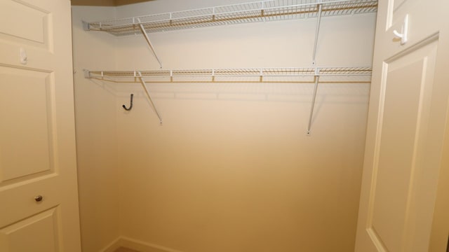 view of closet