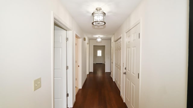 hall featuring dark wood-style flooring