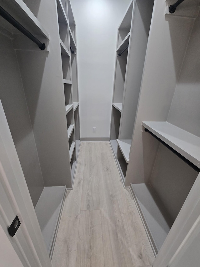 spacious closet featuring light wood-style floors