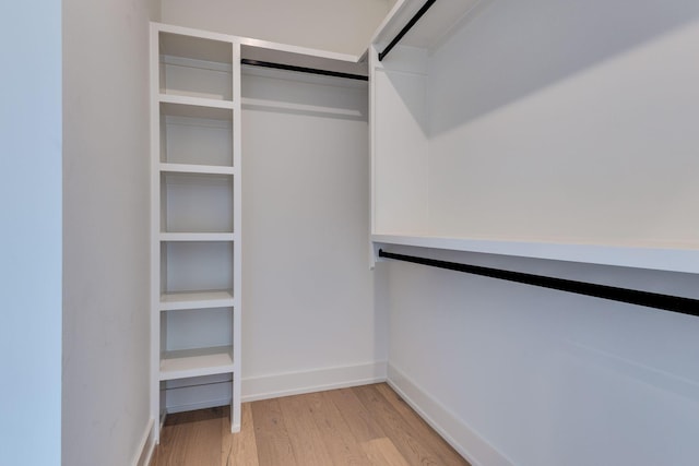 spacious closet featuring light wood-type flooring and a barn door