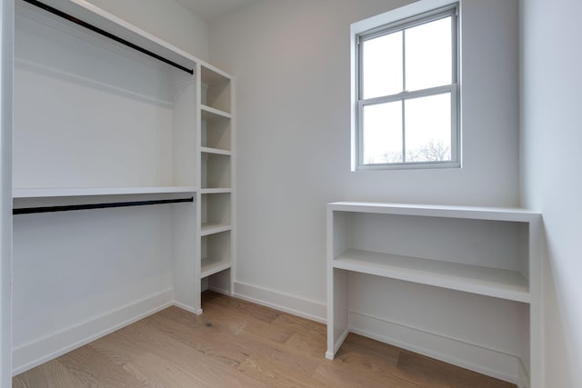 spacious closet featuring light wood-style floors