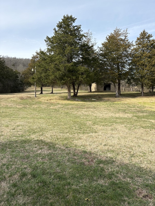 view of yard featuring a rural view