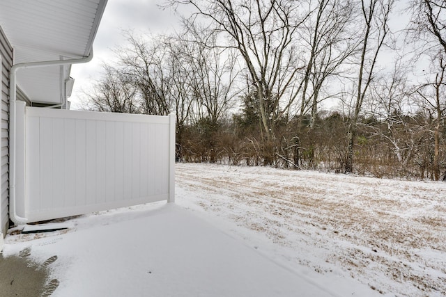 view of yard covered in snow