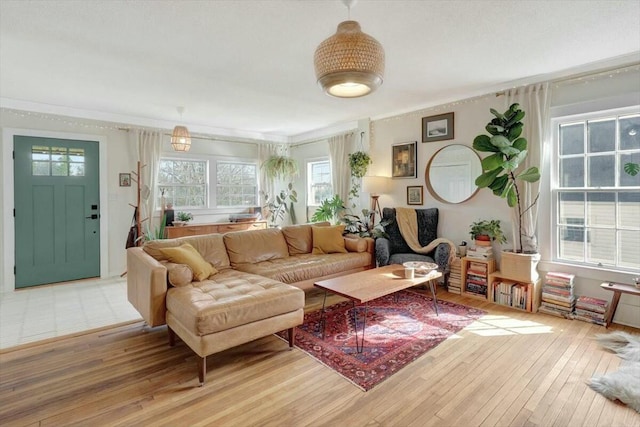 living area featuring ornamental molding and wood finished floors