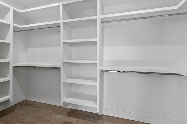 walk in closet featuring wood finished floors