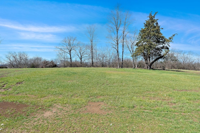 view of yard featuring a rural view