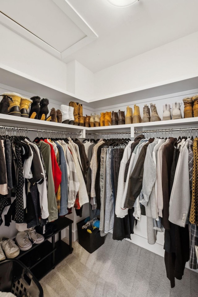 spacious closet featuring carpet floors and attic access