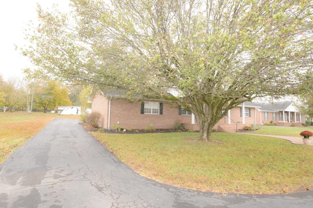 view of property hidden behind natural elements with a front yard