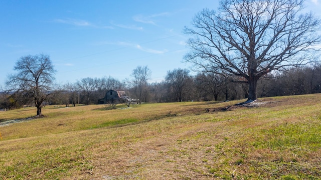 320 Mount Olivet Rd, Wartrace TN, 37183 land for sale