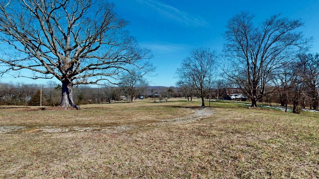 Listing photo 2 for 320 Mount Olivet Rd, Wartrace TN 37183