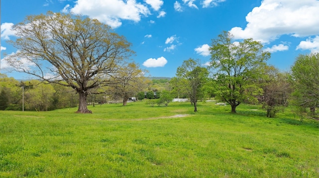 320 Mount Olivet Rd, Wartrace, TN 37183 - photo 40