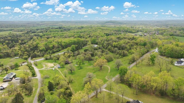 320 Mount Olivet Rd, Wartrace, TN 37183 - photo 4