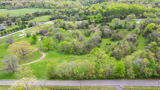 320 Mount Olivet Rd, Wartrace, TN 37183 - photo 24